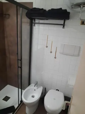 a bathroom with a toilet and a sink and a shower at Fradusta 213 in San Martino di Castrozza
