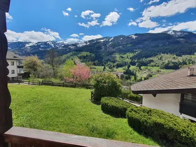 a view of a yard with mountains in the background at Casa Paolina - Alpine Stay Apartments in Tesero