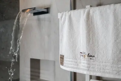 a towel hanging on a towel rack in a window at Casa Paolina - Alpine Stay Apartments in Tesero