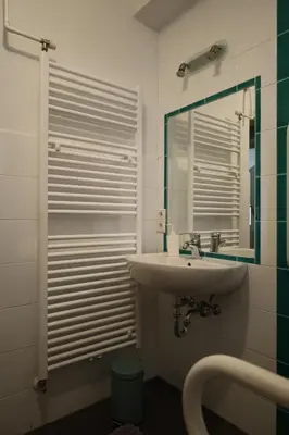 a bathroom with a sink and a mirror at Tulpe Apartments in Vandoies di Sotto