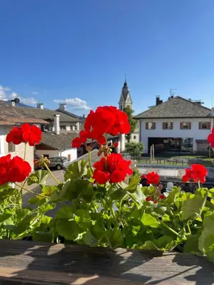 a bunch of red flowers in a garden at Il Nido del Picchio in Anterivo