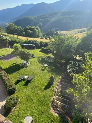 a view of a grassy field with two benches at Il Nido del Picchio in Anterivo