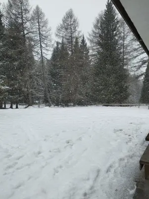 a snow covered field with trees in the background at Villa Larici piano terra in Bellamonte