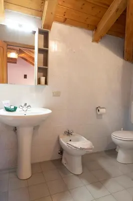 a bathroom with a sink and a toilet and a mirror at Agritur Iellici in Castello di Fiemme