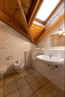 a bathroom with a sink and a toilet at Agritur Iellici in Castello di Fiemme
