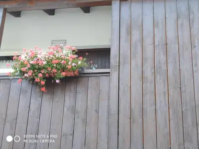 a wooden fence with a window with a flower pot on it at casa canazei in Alba di Canazei