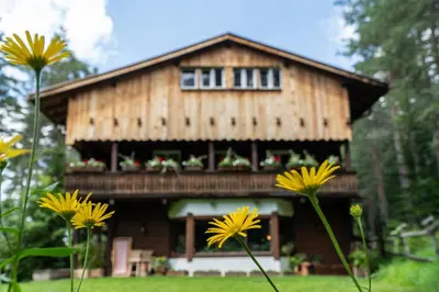 a wooden house with flowers in front of it at B&B Villa La Bercia in San Vigilio Di Marebbe