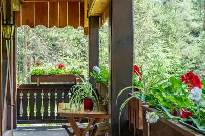a porch with flowers and a table and a window at B&B Villa La Bercia in San Vigilio Di Marebbe