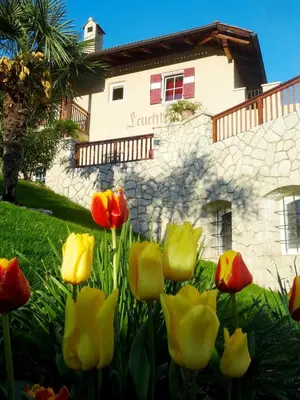 a group of tulips in front of a house at Leuchtenhof in Caldaro