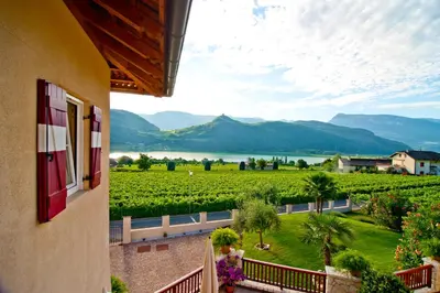 a view from the balcony of a house with a view of a vineyard at Leuchtenhof in Caldaro