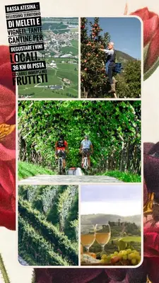 a collage of pictures of people riding a bike at Appartamento Diobono in San Lugano