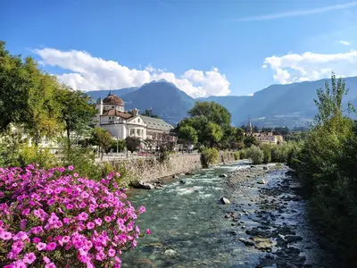 a river with pink flowers in front of a town at Villa Bregenz Apartment in Merano