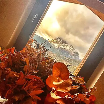 a window with a view of a snowy mountain at Appartamenti Codàn in San Vito di Cadore