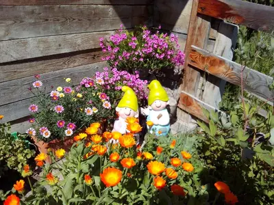 two stuffed animals sitting in a garden of flowers at Villa Hilde in San Cassiano