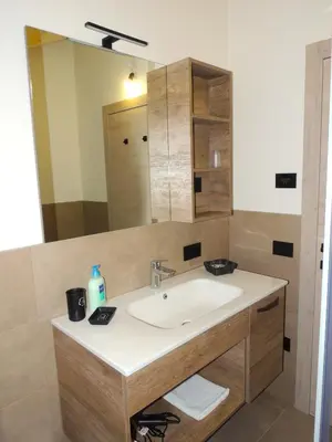 a bathroom with a sink and a large mirror at Prà Lisandro in Cavalese
