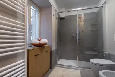 a bathroom with a shower and a toilet at DolomiApartments - Appartamento Avisio in Predazzo