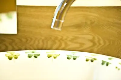 a bathroom sink with a faucet with flowers on it at Dichterstube im Living Kampill in Bolzano