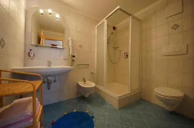 a bathroom with a sink and a shower and a toilet at Apartments Nevada in Colfosco