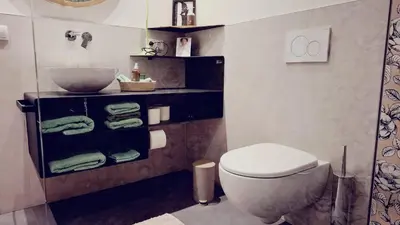 a small bathroom with a toilet and a shower at Apartment wildflower in Privatvilla im Herzen Merans in Merano