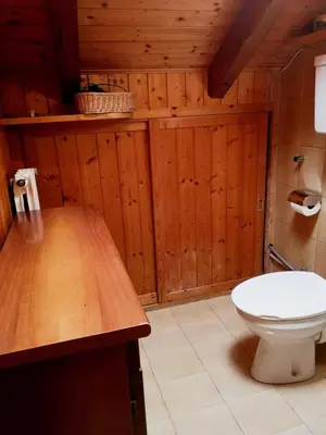 a bathroom with a toilet and a wooden ceiling at Appartamento Pepe by Sunhome Fiemme in Castello di Fiemme