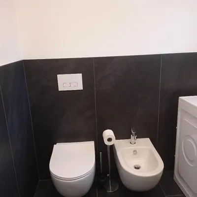 a bathroom with a white toilet and a sink at Tabia' Cemin in Predazzo