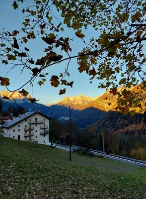a view of a mountain range from a tree at LA POESIA DOLOMITI APARTMENTS in Rivamonte