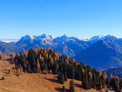 an aerial view of a mountain range with trees at LA POESIA DOLOMITI APARTMENTS in Rivamonte