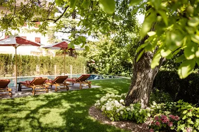 a yard with chairs and a tree and a pool at Castel Sallegg Suites Adults only in Caldaro