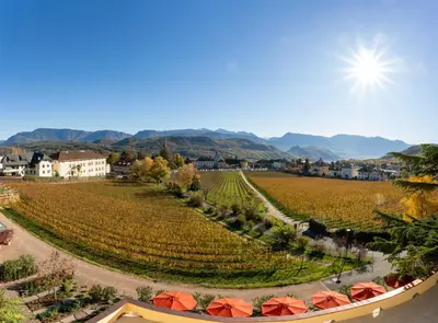 arial view of a vineyard with red umbrellas at Castel Sallegg Suites Adults only in Caldaro