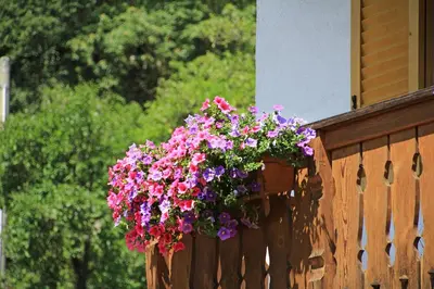 a hanging basket of flowers on a wooden fence at Müllerhof in Kastelruth