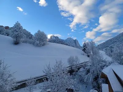 a snow covered hill with trees and a mountain at Müllerhof in Kastelruth