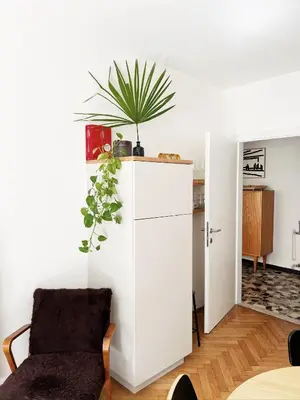 a room with a white cabinet with a plant on it at Late Checkout Merano - 3 Zimmer, Sonnenterrasse, Garage in Merano