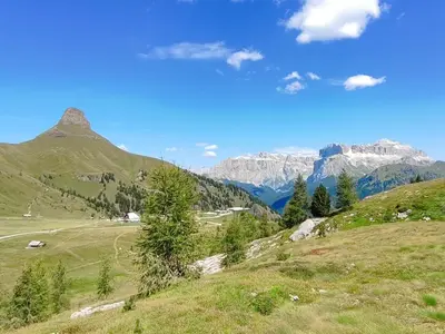 a green field with mountains in the background at Appartamenti Residence Rodolon Fontanazzo in Campestrin