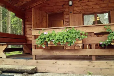 a wooden cabin with plants on the porch at International Camping Olympia in Cortina dʼAmpezzo