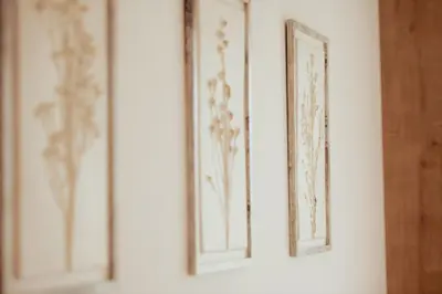 a row of framed paintings on a wall at Gutshof Ebner in San Paolo