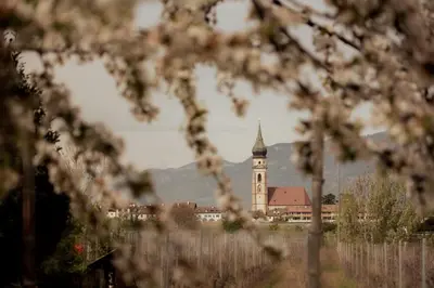 a building with a clock tower in the distance at Gutshof Ebner in San Paolo