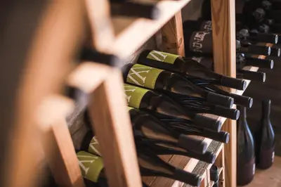 a row of wine bottles in a wine cellar at Ansitz Rynnhof in Termeno
