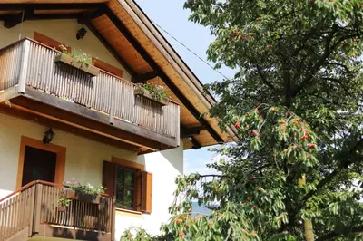 a house with two balconies and a tree with flowers at Zirbentraum in Lana