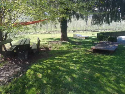 a park with a picnic table and a tree at Zirbentraum in Lana