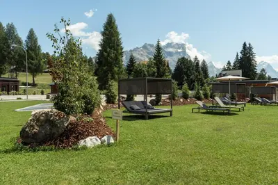a park with chairs and a tree in the grass at Hotel Tofana Cortina in Cortina dʼAmpezzo