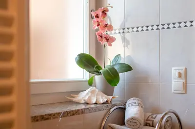 a bathroom with a vase with a plant on a counter at Ferienhof Hanna in Termeno