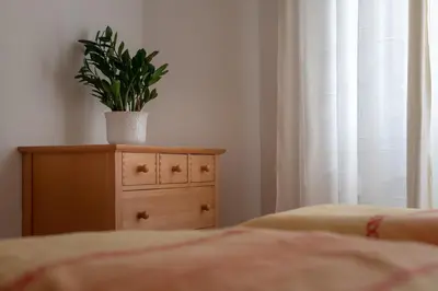 a bedroom with a plant on top of a dresser at Ferienhof Hanna in Termeno