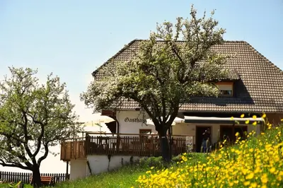 a house on a hill with trees and yellow flowers at Webergütl in Auna di Sopra