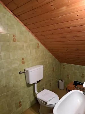 a bathroom with a toilet and a wooden ceiling at Webergütl in Auna di Sopra
