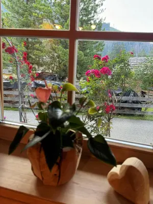a potted plant sitting on a window sill with flowers at Garni Pineta in San Martino in Badia