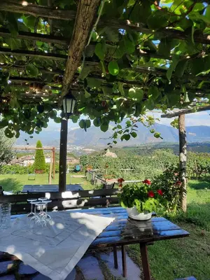 a picnic table with a view of a vineyard at Weinhof Kager in Missiano