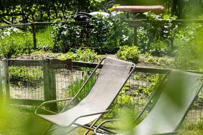 a green chair sitting in the grass in a garden at Weinhof Kager in Missiano