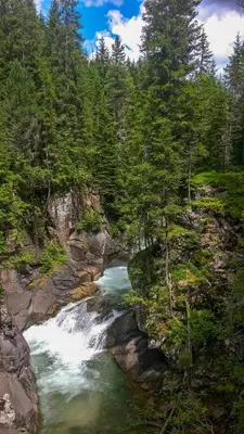 a river in the middle of a forest at Casa Righini in Moena