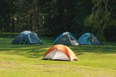 three tents in a field with grass and trees at Camping Marmolada Malga Ciapela - Glamping Experience in Malga Ciapela