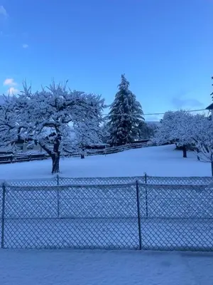 a fence covered in snow with trees behind it at Apartment Malfi in Fiè
